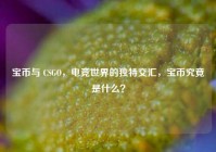 宝币与 CSGO，电竞世界的独特交汇，宝币究竟是什么？