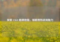 探索 CSGO 盾牌地图，领略独特战场魅力