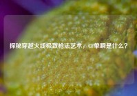 探秘穿越火线极致枪法艺术，CF单瞬是什么？