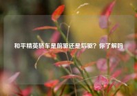 和平精英轿车是前驱还是后驱？你了解吗