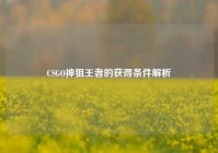 CSGO神狙王者的获得条件解析
