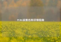 PUBG设置名称详细指南