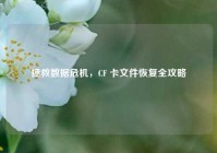 拯救数据危机，CF 卡文件恢复全攻略