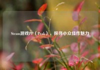 Steam游戏PP（Peak），探寻小众佳作魅力