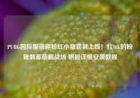 PUBG国际服萌趣粉红小猪套装上线！扛98k的粉猪刺客萌翻战场 附超详细安装教程