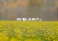 探寻可接CF单子的平台