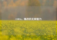 COD16，爆改的无限魅力