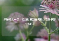 探秘河北一区，游戏世界别样天地，它属于哪个大区？