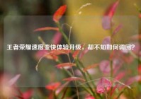 王者荣耀速度变快体验升级，却不知如何调回？