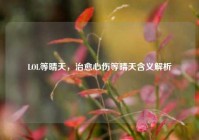 LOL等晴天，治愈心伤等晴天含义解析