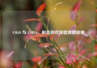 CSGO 与 COD16，射击游戏双璧激情碰撞