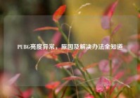 PUBG亮度异常，原因及解决办法全知道