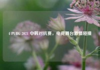 4 PUBG 2021 中韩对抗赛，电竞舞台激情碰撞
