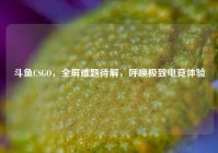 斗鱼CSGO，全屏难题待解，呼唤极致电竞体验