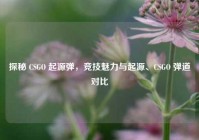 探秘 CSGO 起源弹，竞技魅力与起源、CSGO 弹道对比