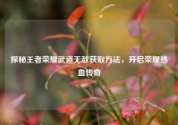 探秘王者荣耀武道无敌获取方法，开启荣耀热血传奇