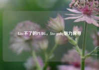 Lite不了的PUBG，lite pubg魅力探寻
