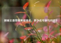 探秘王者荣耀黄蜂排名，多少名可参与对战？