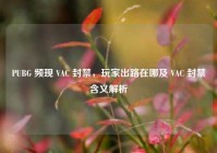 PUBG 频现 VAC 封禁，玩家出路在哪及 VAC 封禁含义解析