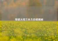 穿越火线兰永久价格揭秘