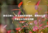 使命召唤16，队友图标的重要性、使用技巧及不显示队友名字问题