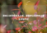 探秘王者荣耀混沌之戒，潜藏峡谷的神秘力量及获取方式