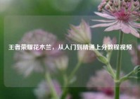 王者荣耀花木兰，从入门到精通上分教程视频
