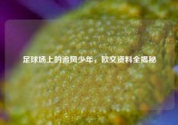 足球场上的追风少年，欧文资料全揭秘