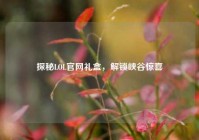 探秘LOL官网礼盒，解锁峡谷惊喜