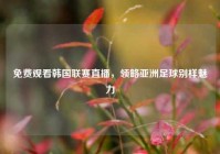 免费观看韩国联赛直播，领略亚洲足球别样魅力