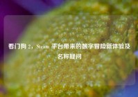 看门狗 2，Steam 平台带来的数字冒险新体验及名称疑问