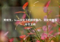 死或生，Steam汉化下的游戏魅力、文化传播与中文之问