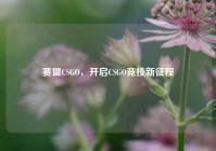 赛盟CSGO，开启CSGO竞技新征程