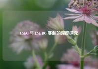 CSGO 与 ESL BO 赛制的深度探究