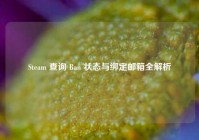 Steam 查询 Ban 状态与绑定邮箱全解析