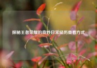探秘王者荣耀的奇妙日常经历查看方式