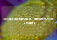 和平精英自闭城跳伞攻略，精准落地抢占先机（附图片）