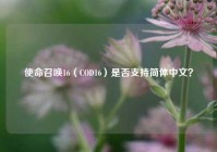 使命召唤16（COD16）是否支持简体中文？