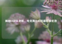 揭秘CF战队老板，电竞舞台后的幕后掌舵者