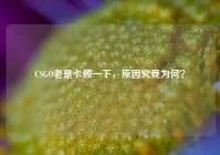 CSGO老是卡顿一下，原因究竟为何？