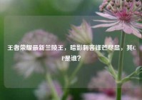 王者荣耀最新兰陵王，暗影刺客锋芒尽显，其CP是谁？
