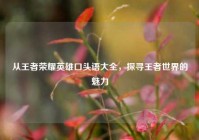 从王者荣耀英雄口头语大全，探寻王者世界的魅力