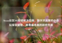 Steam社区105报错解决指南，数字洪流里的小众玩家自留地，藏着最本真的游戏热爱