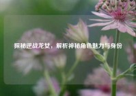 探秘逆战龙女，解析神秘角色魅力与身份