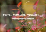 直销行业，在规范中突围，于信任中重生——探析行业现状与发展前景