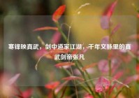 寒锋映真武，剑中道家江湖，千年文脉里的真武剑帝张凡
