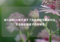 深入剖析LOL盒子用不了皮肤原因及解决办法，附英雄联盟盒子名称解答