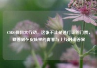 CSGO裂网大行动，这张不止是通行证的门票，藏着刻在皮肤里的青春与上线时间答案
