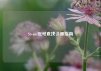 Steam账号查找详细指南