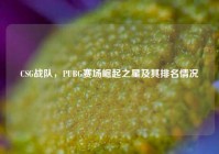 CSG战队，PUBG赛场崛起之星及其排名情况